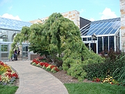 Western Michigan [2009] 480